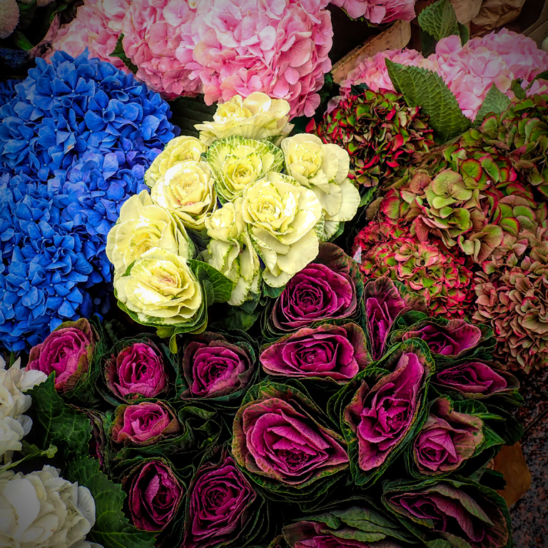 B1$Finaldi$Dawn$IrishBlooms$2020-05.jpg
